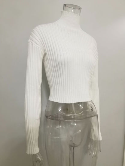 Autumn winter solid color basic jumpers Turtleneck slim fit cropped short knitwear women chunky needles sweater